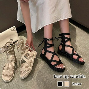 T_ fB[X [XAbvT_  {A X|[c uh  g t ܐ   Xb| C lC  ItBX v  q[ r[` ɂ H U