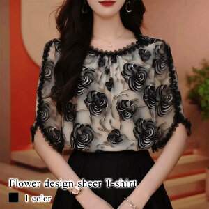 X[p[Z[ ^CZ[ SALE uEX fB[X t[fUCVA[TVc { VtH uh ItBX 50 m[AC   t t Vc  tH[}