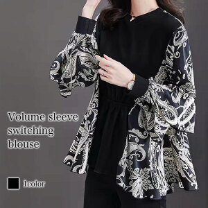 uEX fB[X {[؂ւuEX i  lC tH[}     ItBX [X VtH t  {E^C TVc JWA uh 