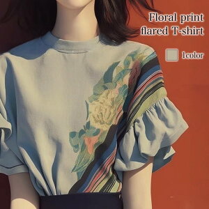 uEX fB[X ԃvgtATVc { uh  ItBX 傫TCY ꂢ Jbg\[ i    Vc   X[c t  TVc 