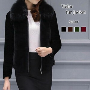 u] fB[X xAfރt@[WPbg  p[J[  St V[g 傫TCY h ~ rWlX EFA  O }Ee X^W ꂢ ~^[WPb