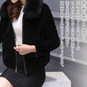 y_N[|p20%OFF!^z u] fB[X xAfރt@[WPbg  p[J[  St V[g 傫TCY h ~ rWlX EFA  O }Ee X^W 