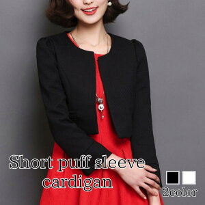 J[fBK fB[X V[gptX[uJ[fBK ~ VlbN uh  t[X ubN n O ێ E[ ItBX P[u  t  WPbg g