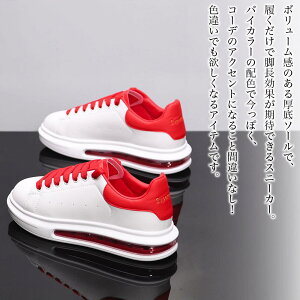 y_N[|p20%OFF!^z Xj[J[ fB[X oCJ[Xj[J[ 3E  {A y  H 24.5 ~ t L ᓹ nCJbg sN Ȃ 5E y uh U[ LeB