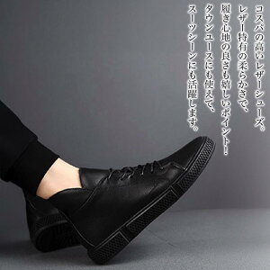 y_N[|p20%OFF!^z Xj[J[ Y {vU[V[Y   ƂȂ  t jO EH[LO gUP 4E y CR nCJbg  L ubN U[ 