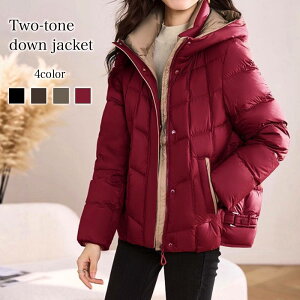 _EWPbg fB[X oCJ[_EWPbg ~ g X y V[g _E  t O ꂢ Wp[ n[t  V[gR[g y  20 t[h