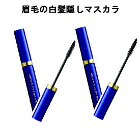 楽天市場 白髪染め 眉毛 メンズの通販
