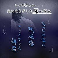 尿漏れ対策おしゃれパンツ-DEGYY-