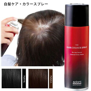ヘアカラー スプレー 白髪染めの人気商品 通販 価格比較 価格 Com