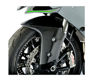 Ninja H2�@�t�����g�t�F���_�[���D�J�[�{��