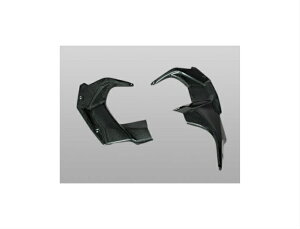 Ninja H2 �J�E���C���i�[�p�l�����D�J�[�{��