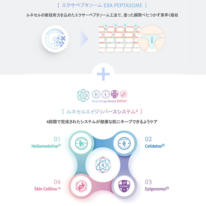 楽天市場】【Rene-Cell】ミラクルダイヤモンドピール プログラムセット 