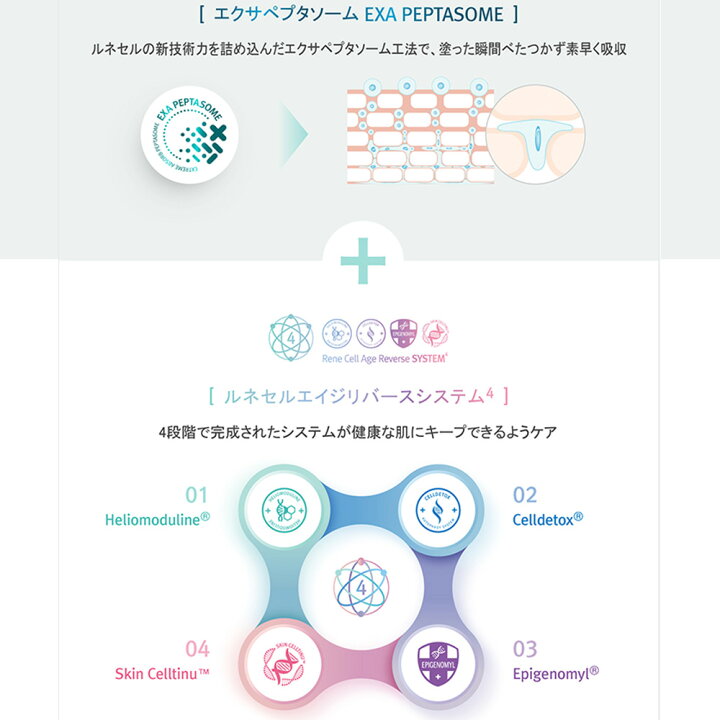 楽天市場】【Rene-Cell】ルネセル アブソーバー ヒアルロニック セラム 