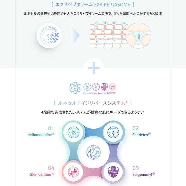 楽天市場】【Rene-Cell】アブソーバー ペプチドクリーム 50ml 