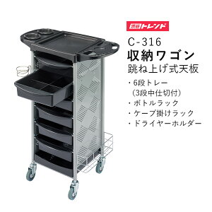 ˏグV @\[S | C-316 6ig[ pwAJ[Jbv {g[bN XpChC[z_[  ubN Vo[h OɈo\ ^LX^[ 