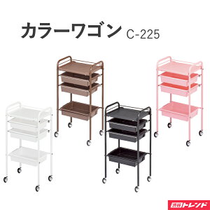 J[S | C-225 X^_[h tJ[ LX^[t e wAT