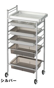 �N���A�J���[ ���[���S�� | C-329 �g���[���V�͎��O���\ ���T�C�N���f�� �w�A�T���� ���e��