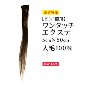 楽天市場 インナーカラー エクステの通販