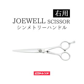 楽天市場 美容室 はさみの通販