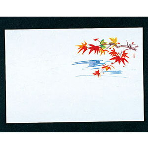 }C lGE 100 ݂ M30-213