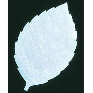 A[ebN ԍRۘa t^lG 200  LF-S