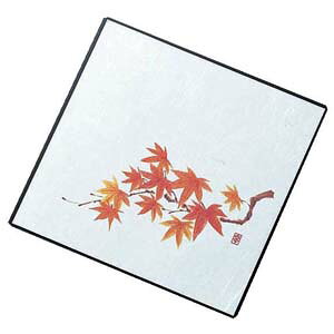 A[ebN j[lG 5 100 NS-14 Ԃ݂