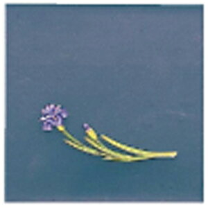 A[ebN OPNAlG  200 OS-12-7