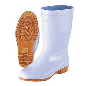 OiS ]iG3 lIϖ C ϖ 24.5cm