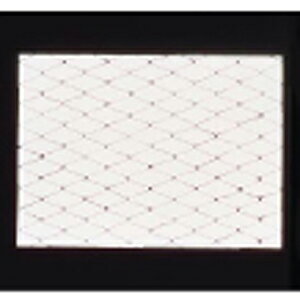 ���}�R�[ ���ԕۑN�� �� 100���� �� QHS08