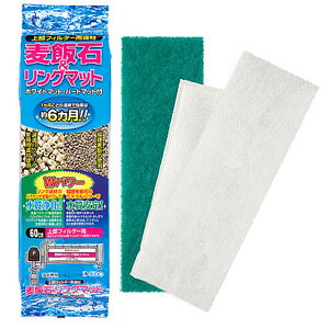 Xh[ ѐ΁O}bg 1380167