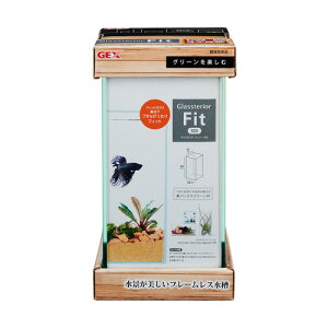 WFbNX GEX OXeAtBbg100 1743386