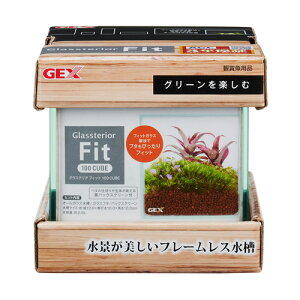 ジェックス GEX グラステリアフィット100CUBE 1743387