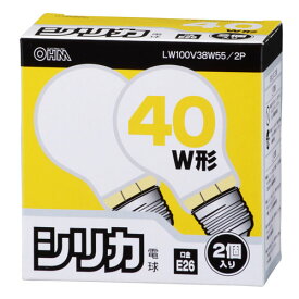 オーム電機 シリカ電球 E26 2個入り LW100V38W55/2P