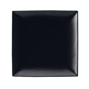 XpbcBI XNGA v[g  iLj10 1/2C` RSP4904