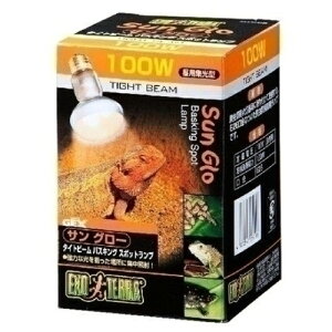 WFbNX GEX TO[^Cgr[100W PT2138