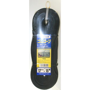 㐻j V[gpS[v 17×15m 2419700