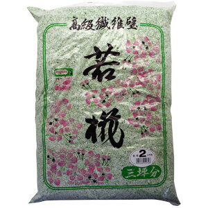 ƒ뉻w pǍ ኑ No.2 Oؗp 2010g