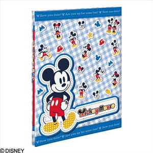 iJoV fBYj[ tGAo rX A4 vR[g䎆 ~bL[ A-A4P-150-1