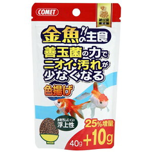 CgXC Rbg ̉a ̎H [ Fg 40g 2390109