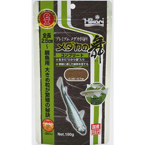 L[ _J̕ Rv[g 100g 1160468