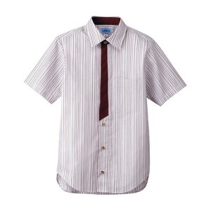 Vc jp GW b 3L BT-3123 T[H TybNXCXg Ɩp jtH[ 