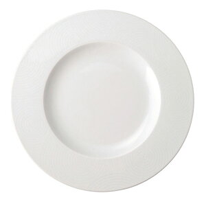 エコス プレート 29cm CV2901