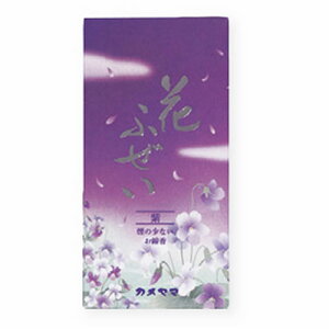 J} Ԃӂ  100g 4030494