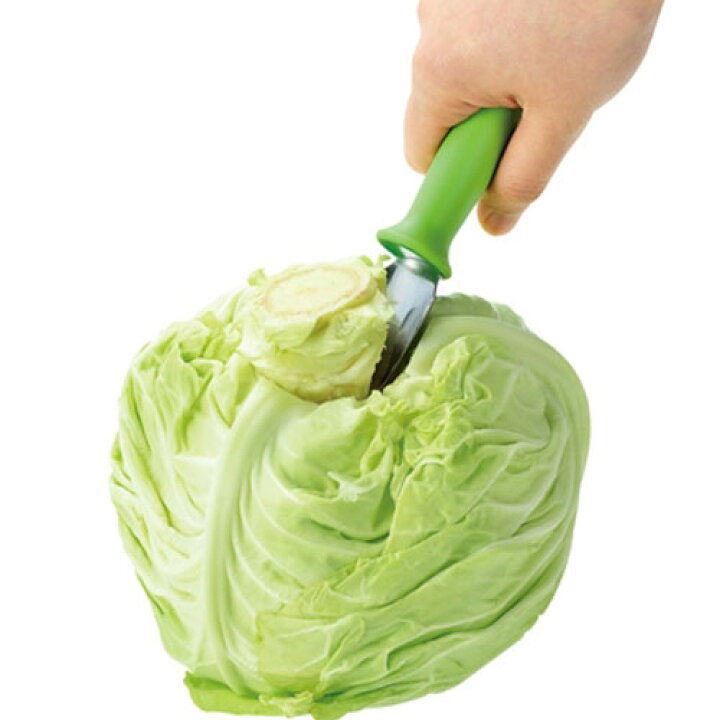 楽天市場 フルベジ キャベツの芯取り Fv 613 Webby 楽天市場 フルベジ キャベツの芯取り Fv 613 Webby