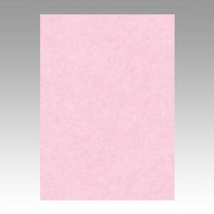 ^ Fp j[J[ 4  4NCR-218