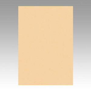 ^ Fp j[J[ 8 炿 8NCR-111