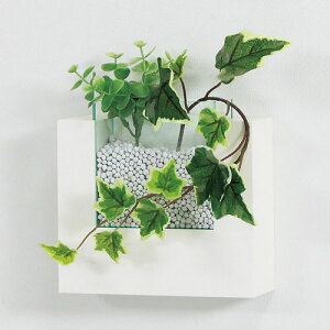 EH[|Pbg  NA ~j|bg K[fjO I zCg