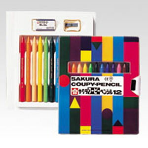 TNNpX N[s[yV 12F \tgP[X FY12-R1