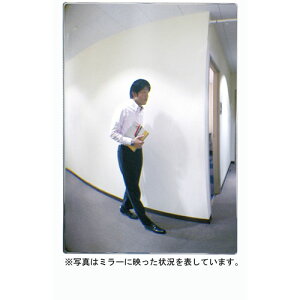 R~[ FF~[ʘH Бp ʃe[v FT23A