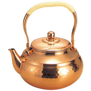 �V������ �� �Ɩړ� �j���[�^�C�v �P�b�g�� 2L SC-2009